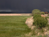 Storm, Buena Vista