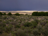 Storm, P Ranch