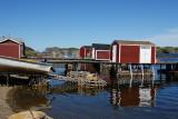 Twillingate and Area Jul-08 029