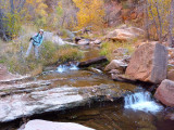 P1000341.jpg