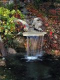 Day in the life of a backyard waterfall.