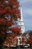 Autumn Foliage