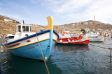 DSC00420web.jpg
