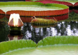 October 3 Reflections