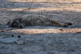 DSCF1713.jpg