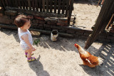 DSCF1770.jpg