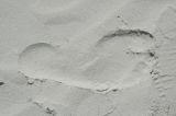 Craigs footprint