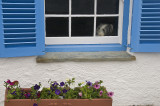 A Resident Of St. Mawes