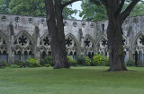 The Cloisters of Salisbury Cathedral