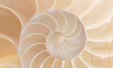 t5%2f06%2f8406%2f4%2f100754045.HdGchGPj.jpg
