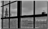 Chicago Warehouse