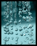 <b>1st Place Winner</b><br>Water Drops<br>by Ahmed Shehab