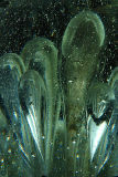 <b>9th Place (tie)</b><br>Air Bubbles*