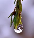 67681669.f07hjEP3.jpg