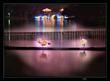 Swan Lakefs.jpg