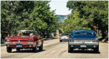 Colorado Mustangs
