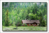 little house in the forest