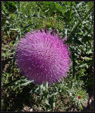 t5%2f06%2f8406%2f4%2f99164216.HxddqAt0.jpg