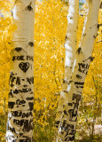 10162009-June_Lake-40