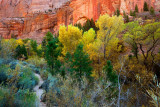10192009-Zion-096