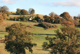 The Deer Park at Eastnor Castle, Herefordshire.