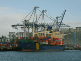 GALLAD EXPRESS.jpg