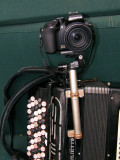 Camera on Accordion 2.jpg