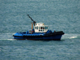 WAIPAPA.jpg