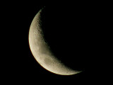 June Moon 1.jpg