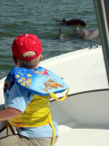 Simon watches the dolphin show