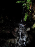Tiny Waterfall - Goffen