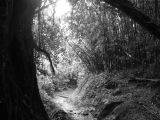DSCF5538.JPG