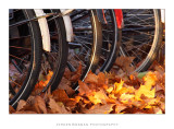 Leaving your bike behind