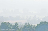 Morning Layers 2