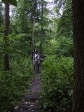 Zebra Zubra Walk / Bizons Trail