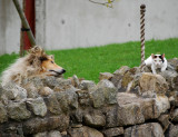 Keeping Watch