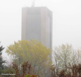 Carleton University  from FWG