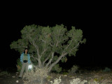 Wupatki National Monument, Arizona