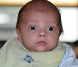 OMG The Flash Again