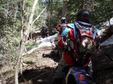 P6151516.JPG