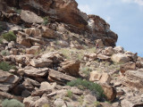 P6211744.JPG