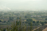 P1010180-1.jpg