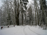 Snowy Driveway Dec 2008