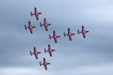 Snowbirds 2