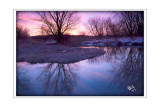 Pre-Dawn at Token Creek