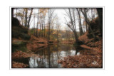 Gray Autumn on Skillet Creek