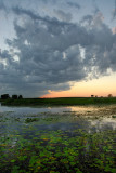 Springbrook Prairie Preserve Sunset