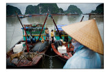 Ha Long fishing harbor 1