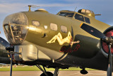 Sally B