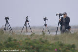 Birdwatchers at Nabben Falsterbo on a very quiet day (2)